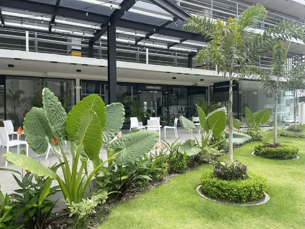 Compradores en Panamá: cómo elegir entre vivir en la propiedad o alquilarla como inversión Compradores en Panamá: cómo elegir entre vivir en la propiedad o alquilarla como inversión