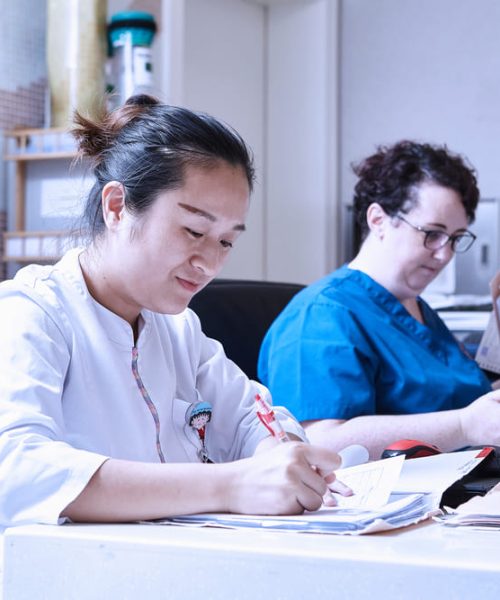Desarrollo profesional al estudiar Medicina y Cirugía en David, Panamá